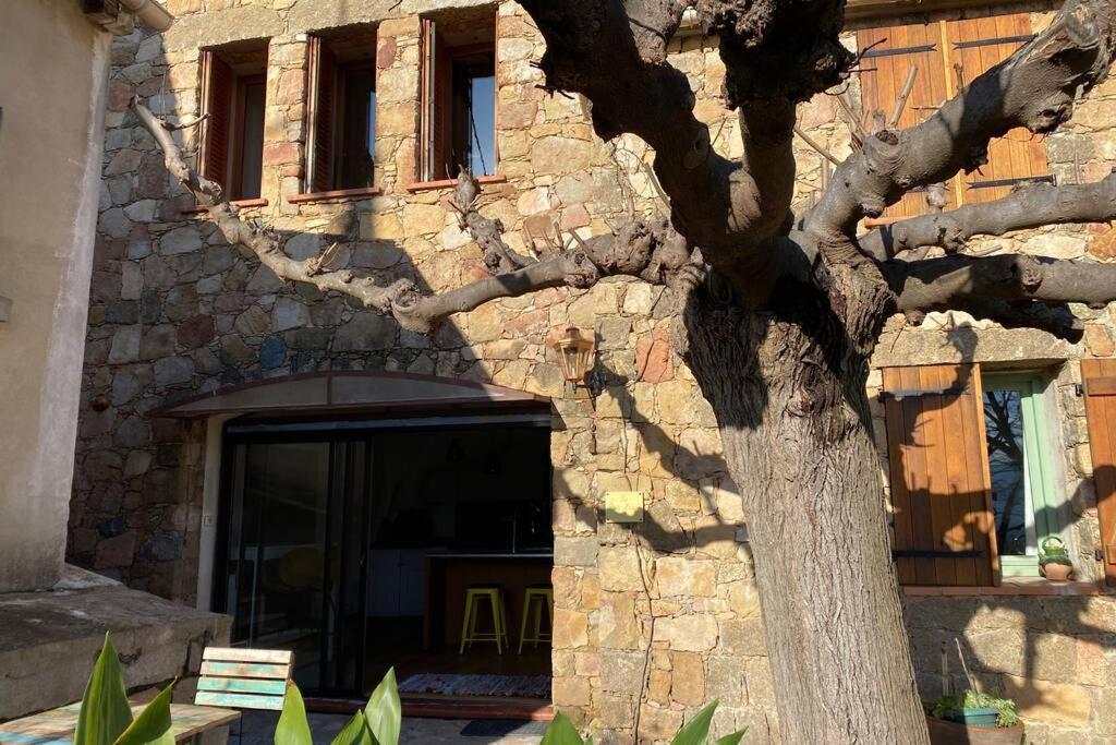 Maison Typique Corse A 10 Min D'Ajaccio Et Plages Alata Kültér fotó